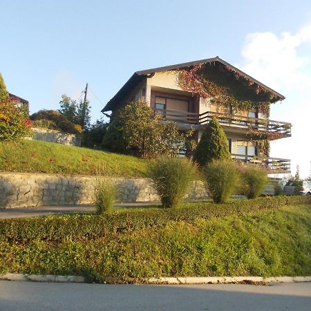 Green Oasis Konuk evi Sladki Vrh Dış mekan fotoğraf