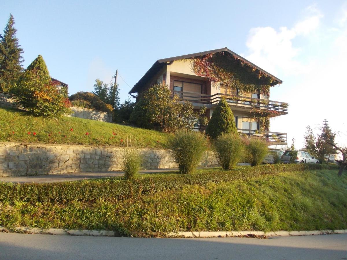 Green Oasis Konuk evi Sladki Vrh Dış mekan fotoğraf