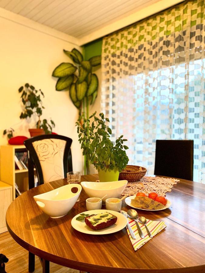 Green Oasis Konuk evi Sladki Vrh Dış mekan fotoğraf